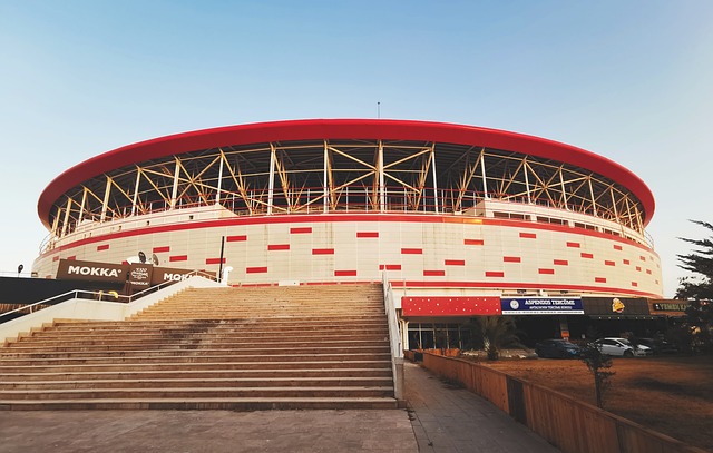 守中展示出 守中展示出