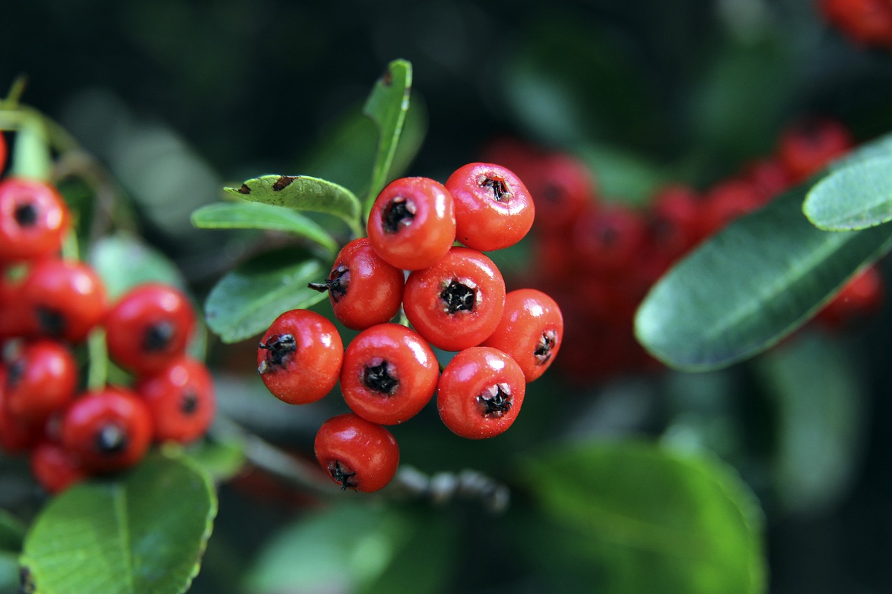 者的关注 者的关注