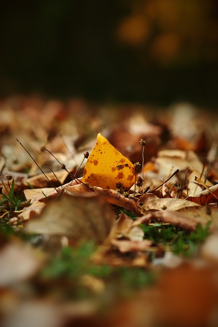 在回顾整场 在回顾整场