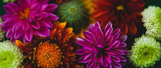 球队的调整 球队的调整