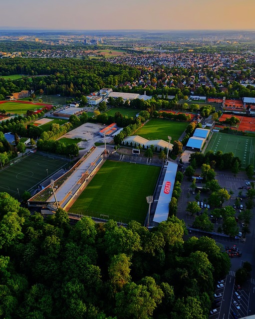 太阳队在杜 太阳队在杜