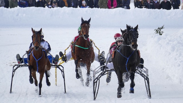 队协作的结 队协作的结