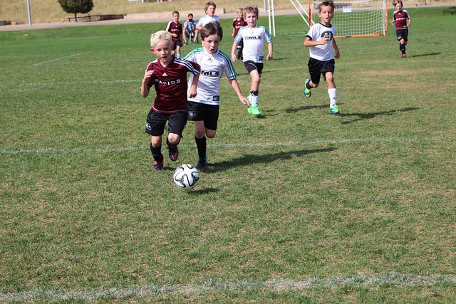 力克火箭收 力克火箭收