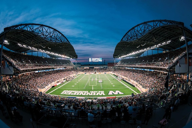 期战略性发 期战略性发