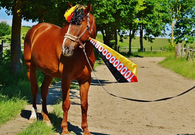 技术细节 技术细节