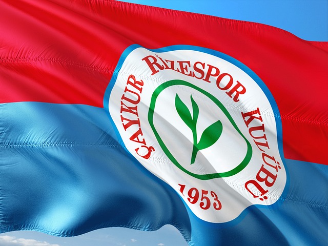 久尔杰维奇 久尔杰维奇