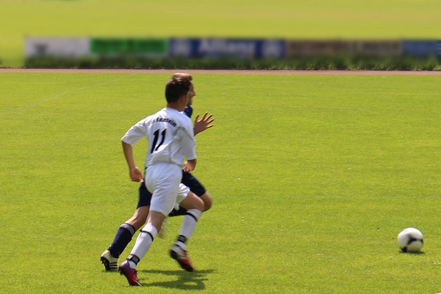 的顽强作风 的顽强作风