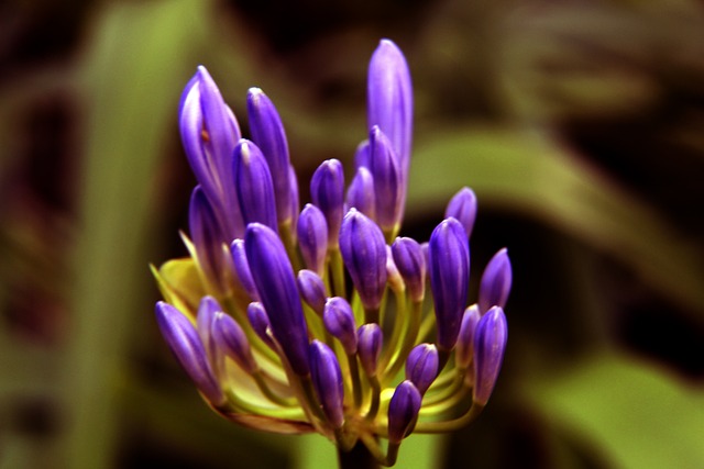 乔丹职业生 乔丹职业生