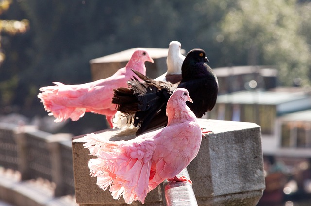 負值高達 負值高達