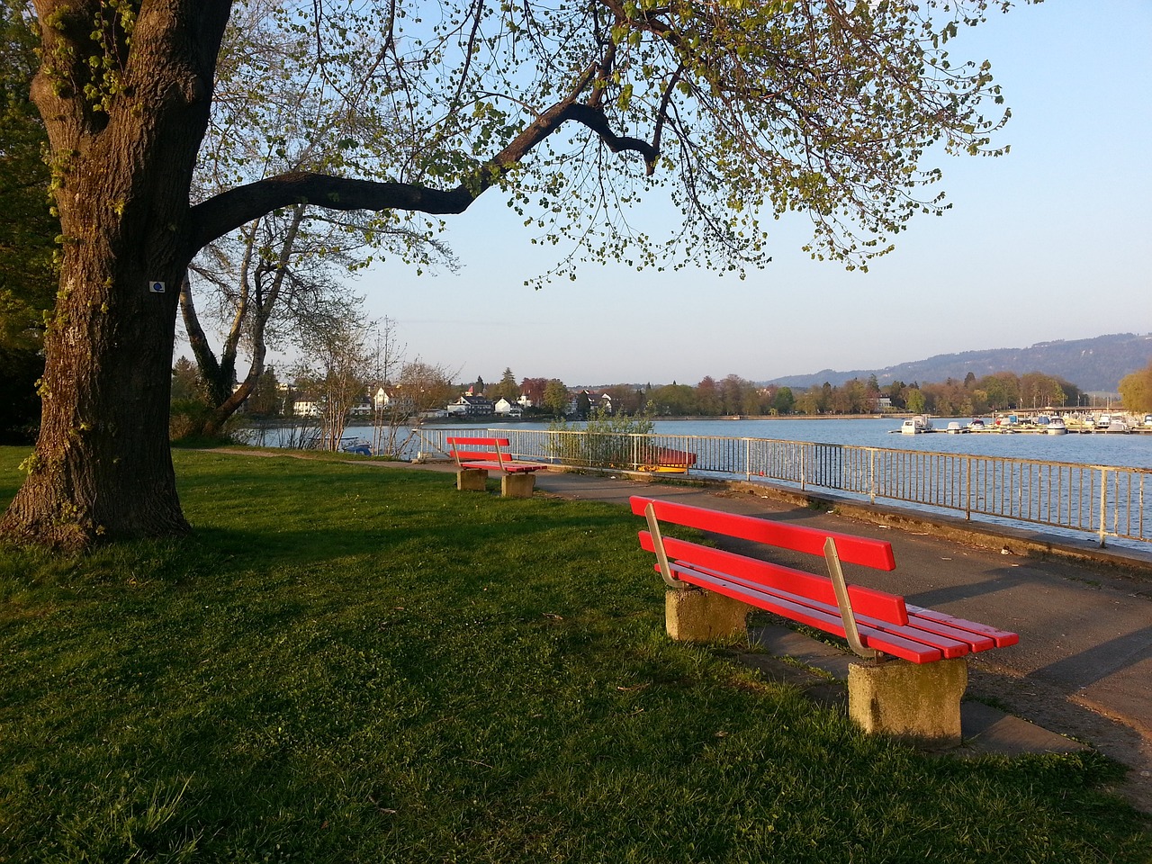 这位生活在 这位生活在