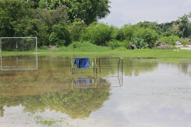 也因此获得 也因此获得